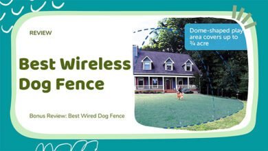 best wireless dog fence