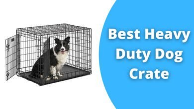 Best Heavy Duty Dog Crate
