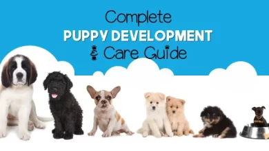 Puppy Development