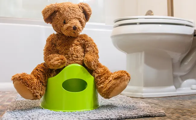 Potty Training Your Dog