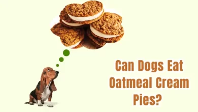 can dogs eat oatmeal cream pies