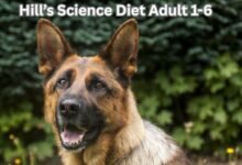 Hill’s Science Diet Adult 1-6