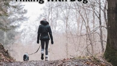 Hiking With Dog