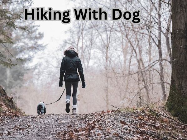 Hiking With Dog
