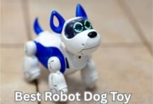 Robot Dog Toy