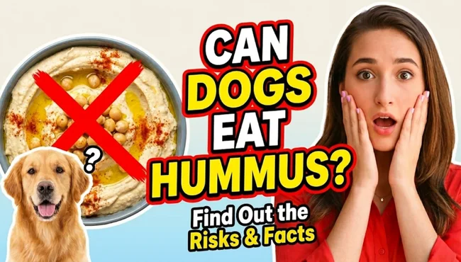 Can dogs eat hummus