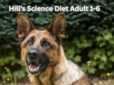 Hill’s Science Diet Adult 1-6: What Dog Owners Need to Know-2025