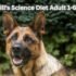 How Long Does House Training a Dog Take? Factors That Affect Success-2025