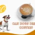Can Dogs Drink Coffee? 6 Serious Health Risks Explained