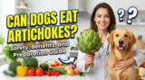 Can Dogs Eat Artichokes? Safety, Benefits, and Preparation Guide