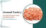 Can Dogs Eat Ground Turkey? Benefits, Risks & Guide