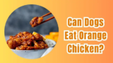 Can Dogs Eat Orange Chicken?