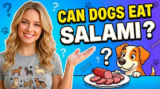 Can Dogs Eat Salami? What You Need to Know Before Sharing Your Snack
