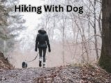 Hiking With Dog: 8 Safety Rules Every Owner Should Know