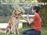 How Long Does House Training a Dog Take? Factors That Affect Success-2025