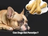 Can Dogs Eat Parsnips? The Shocking Truth About Safety
