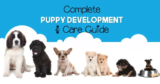 Ultimate Puppy Growth Chart: Track Your Dog’s Development Milestones