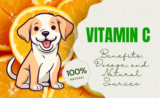 Vitamin C for Dogs: Benefits, Dosage, and Safe Sources