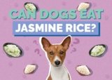 Is Jasmine Rice Good for Dogs with Allergies? Learn in 2025