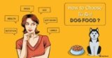 Unleashing the Truth: Which Dog Food is Better for Your Furry Friend?
