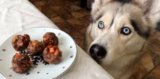 Can Dogs Eat Meatballs from the Store? Processed Meat Risks-2025