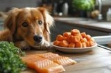 Can Dogs Eat Raw Fish? How to Introduce It Safely-2025