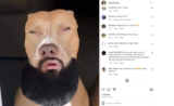 Light Skin Dog: A Pose Worth a Chuckle | Something To Smile About